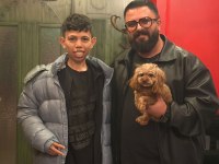 Teacup koyu renkli maltipo yavrularımız