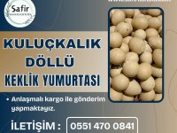 Döllü Kuluçkalık Keklik Yumurtası