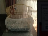 3-6 Aylık, Erkek Sultan Papağanı ve Kafesi