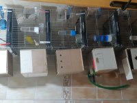 5 katlı kafes 3.5 takım muhabbet kuşumuz
