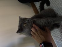 1 YAŞINDA VE 3 YAŞINDA ANNE OĞUL