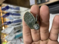 Kırmızı Yanaklı Kaplumbağa Tospikler