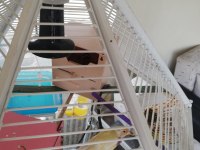 SALMA CAM VİTRİN KAFES-PORSELEN LAMBA ISITICILI