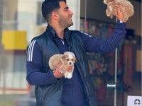 Maltipoo bebegimiz