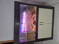 Yunus balığı akvaryum dış motor pegasus midas