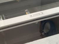 Ücretsiz sahiplendirme 11 aylık fransız bulldog
