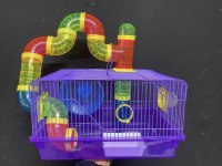 SEVİMLİ HAMSTER ve Tüm aksesuarları ADRESE TESLİM