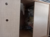 Muhabbet Kuşu 5 Çift
