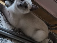Yeni yuvamiza gitmeye hazırız