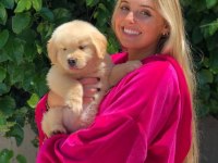 Golden Retriever Yavrularımız