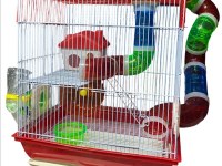 HAMSTER DAİR HERŞEY ANTALYA HAMSTER ÇİFTLİĞİ (BFA)