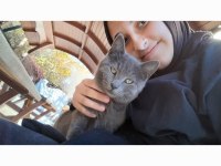 Kucak delisi cins kedimize yuva