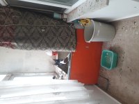 Uçmamış yavru bango güvercinler kırmızı ve karakanat