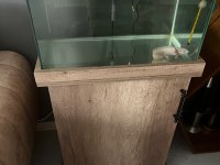 Axolotl (16-17cm)