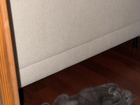 13 aylık yavru kedimiz tüm eşyaları ile sahiplendirilecek