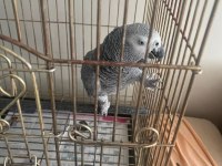 KAYSERİ JAKO MERAKLISINA