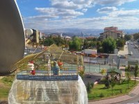 Yaşında kızgın rainbow erkek muhabbet kuşu