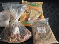 SULTAN PAPAĞANI SAHİPLENDİRME (4 AYLIK)