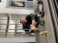 2 Aylık Pug gül kuyruk sıfır burun