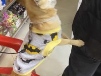 Yer sıkıntım olduğu için uyguna şivava maks 2 kg
