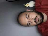 Üst düzey konuşan sultan Papağanı