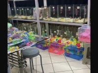 HAMSTER ANTALYA ADRESE AYNI GÜN TESLİM