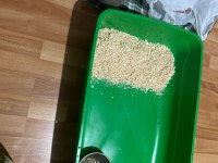 Hollanda lop tavşanı