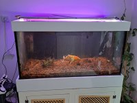 1 CM CAM EL YAPIMI DEMİR PROFİL MOBİLYALI AKVARYUM
