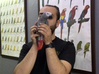KONUŞAN DANS EDEN JAKO PAPAĞANIMIZ