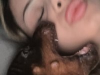Safkan kızıl yavru doberman
