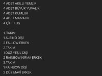 Tertemiz Kurulu Düzen Ve Kuşlar Hazır Al Koy