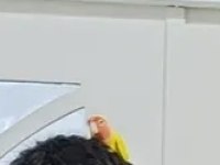 Sevda papağanı ele alışkın