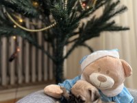 Pug bebeklerim