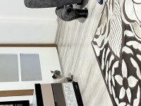 Son 2 yavru british shorthair uyguna verilecektir