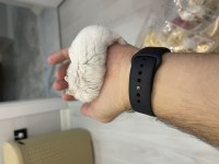 Gonzales hamster çok cuzi gelen alır