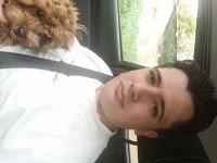 1 Yaşında Dişi Poodle Kızımızı Sahiplendiriyoruz