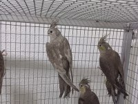 Denizlinin en kaliteli en uygun fiyata sultanın tek adresi