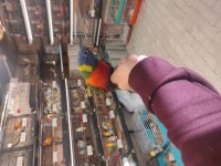 EL BESLEME RAİNBOW LORİ PAPAĞANLARIMIZ
