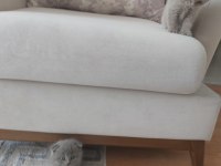 2 haftalık british longhair yavru