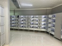 Muhabbet ve sultan papağanı üretim kafesi