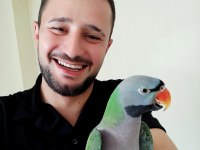 Derbiyan Papağanı NADİR TÜR