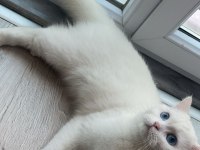 9 AYLIK KIZIMIZA ORİJİNAL BİR ERKEK ARIYORUZ