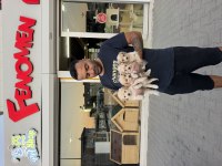 Türkiye’nin en güzel Maltipoo yavruları Ankara mağaza