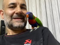 GÖKKUŞAĞI LORİ PAPAĞANI