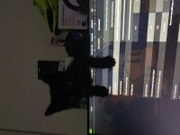 Sokakta kedi buldum ve güzel bir yuva arıyoruz