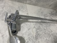 Beyaz albino 6 aylık karneli aşılı pug