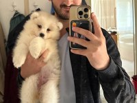 KIF/FCI ŞECERELİ EN İYİ KALİTE SAMOYED BEBEKLER