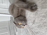 DÜNYA TATLISI KIZIMIZ