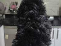 POODLE BEBEĞİM ÖZEL RENK BLEC RENG