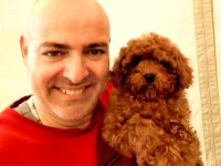 Toy Poodle yavrularımız efsane bebişler